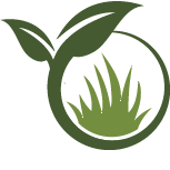 Artificial Lawn Replacement Pros