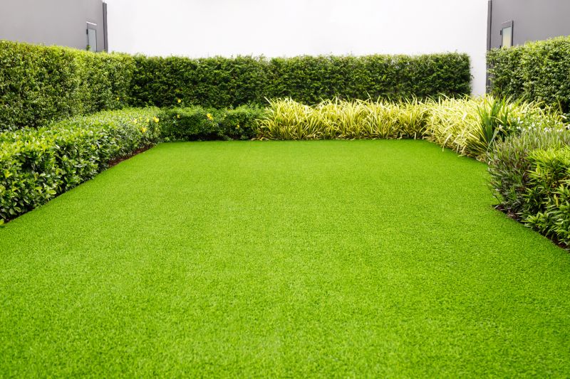 Artificial Lawn Replacement