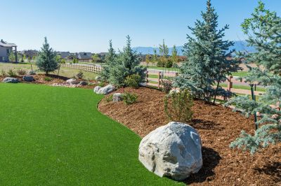 Artificial Lawn Replacement