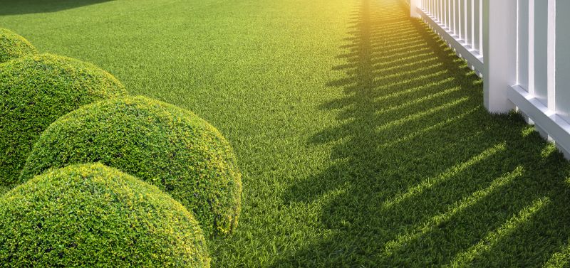 Artificial Lawn Replacement
