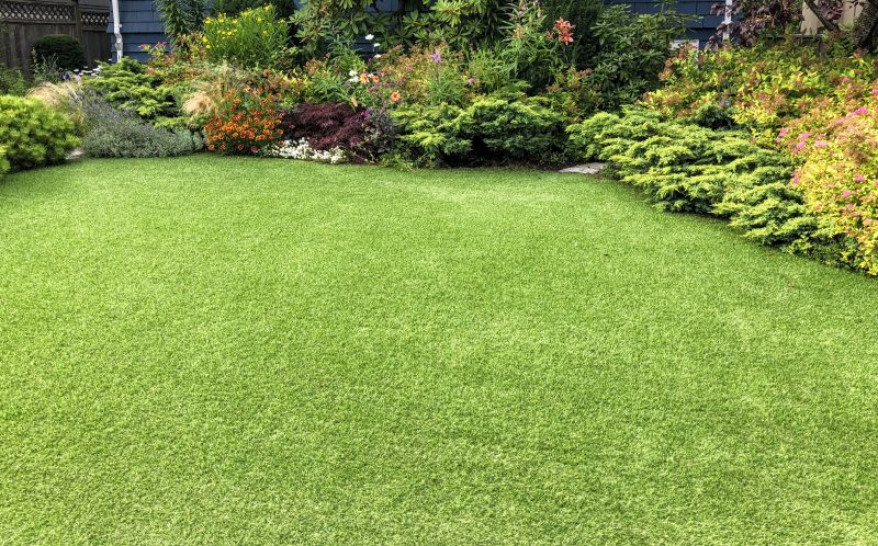 Artificial Lawn Replacement