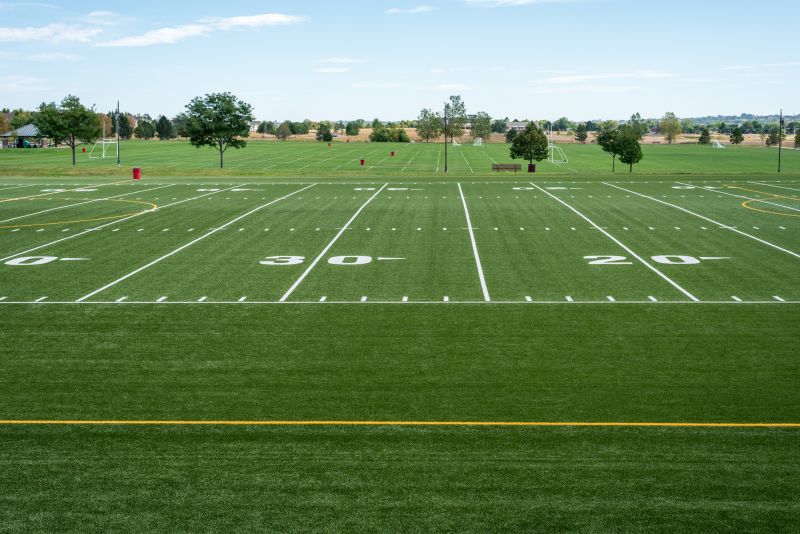 Sports Field Artificial Turf